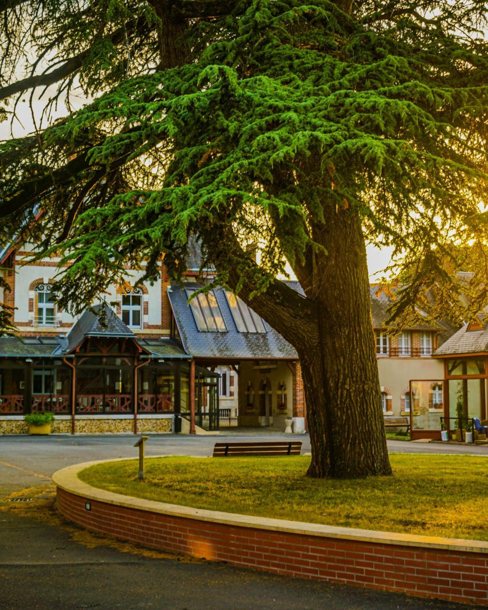Hotel-Restaurant Domaine De La Grande Garenne Neuvy-sur-Barangeon Bagian luar foto